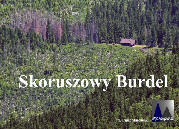 Skoruszowy Burdel